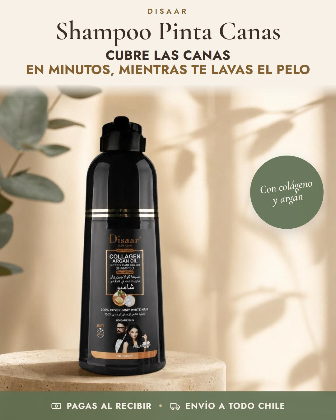 Shampoo Pinta Canas Disaar: cubre las canas en minutos, mientras te lavas el pelo